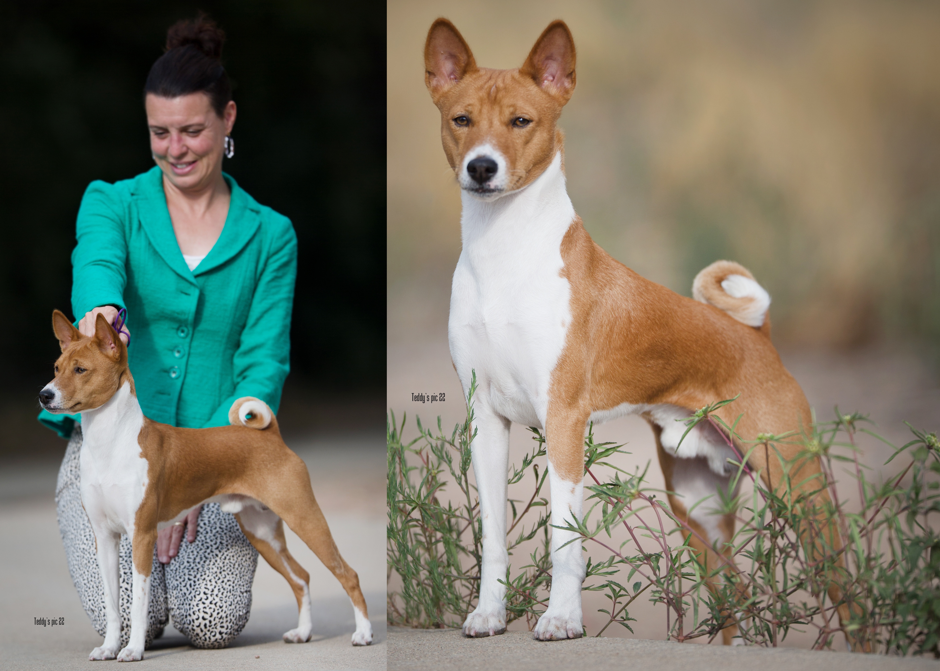 Ture’s Stuff Dreams Are Made Of