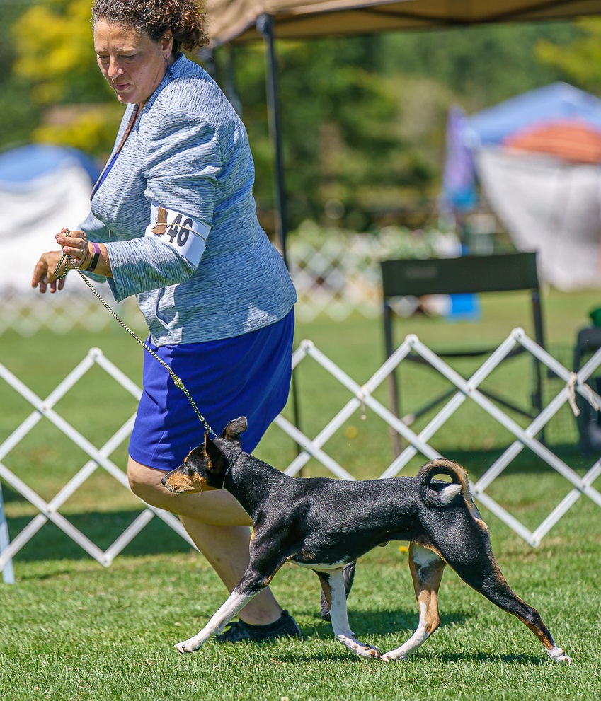 Makindu You Know I Got It