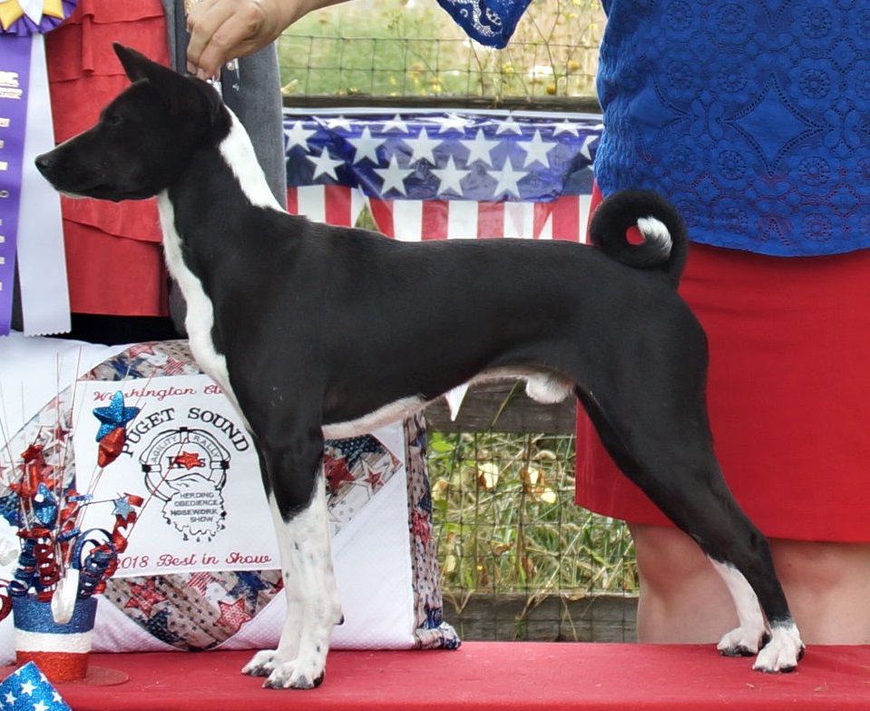 Makindu’s Next Man Up