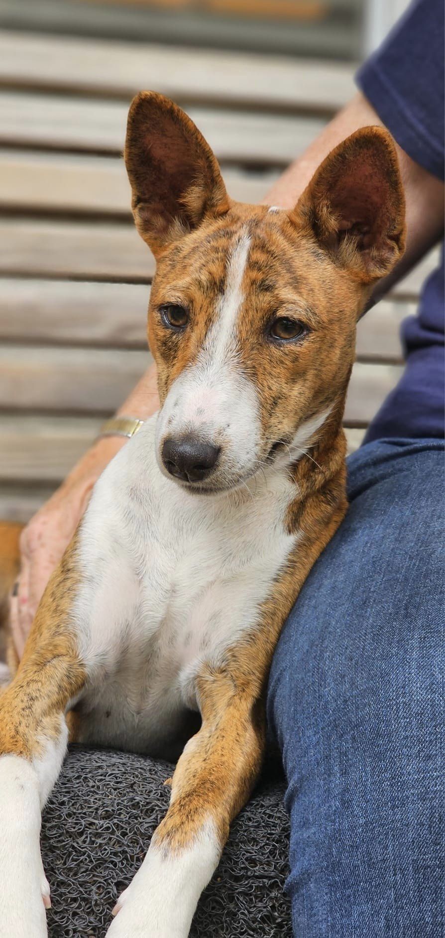 Kibushi & Ture’s Season of Sparkle